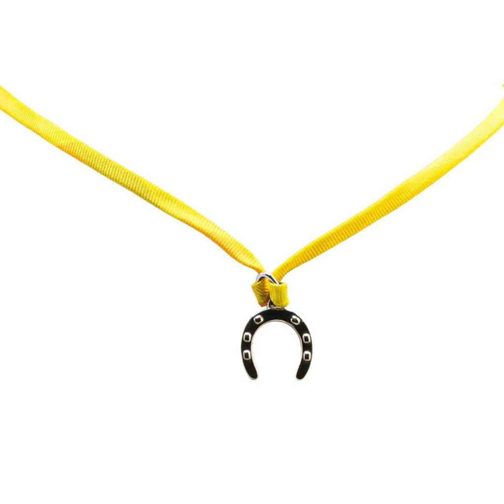 Pendant Necklace Silver and Yellow Metal and Silk