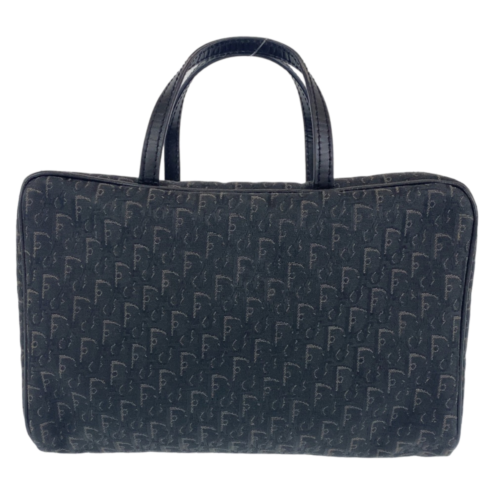 DiorTravel Vanity Case Oblique Canvas