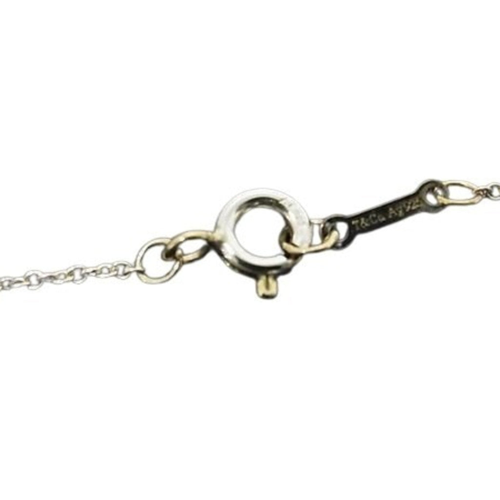 Paloma Picasso Pendant Necklace Sterling Silver