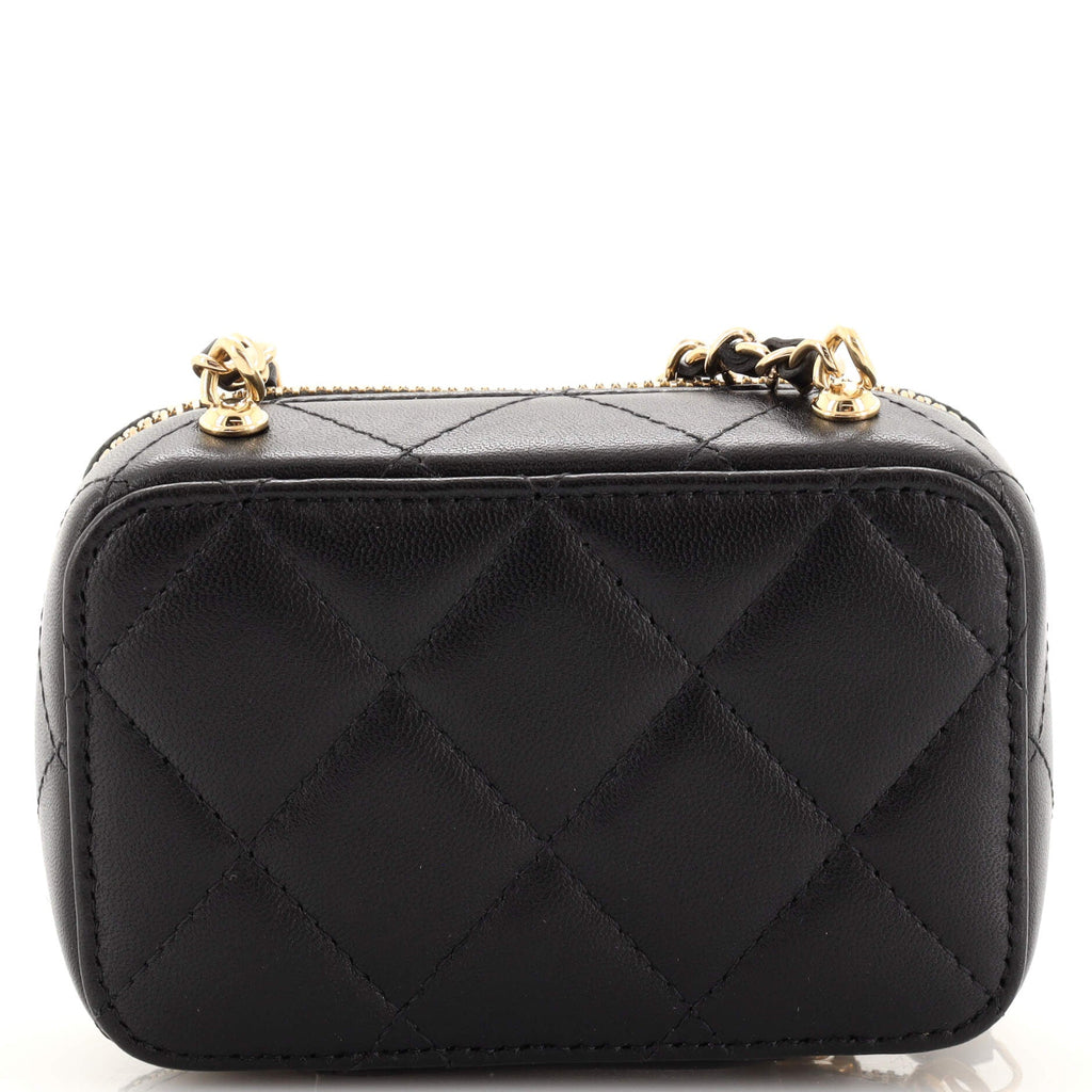 CC Zip Around Clutch with Chain Quilted Metal and Lambskin Small