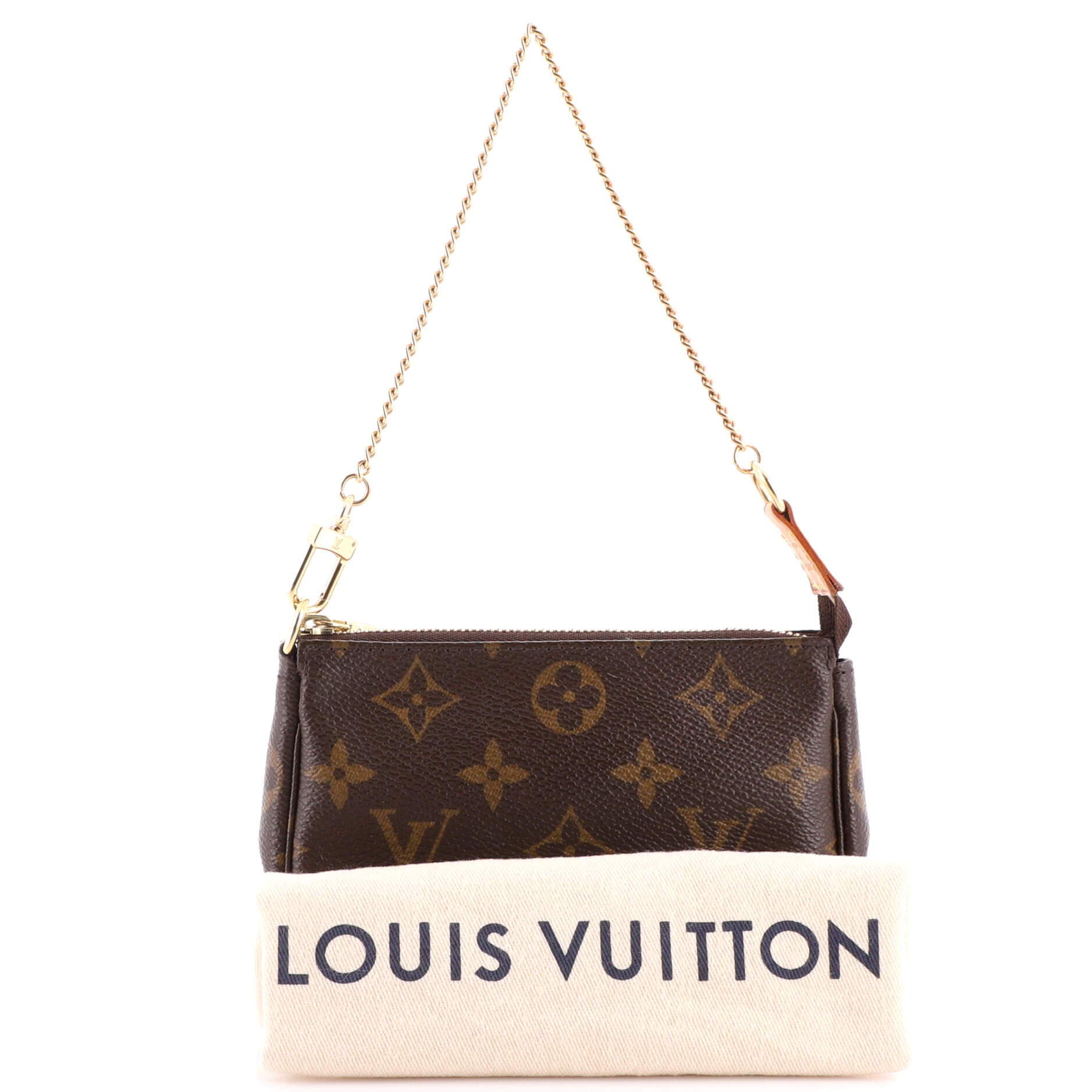 Pochette Accessoires Monogram Canvas Mini