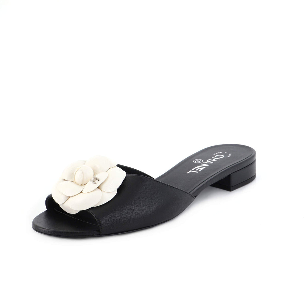 Women's Camellia Mule Sandals Leather