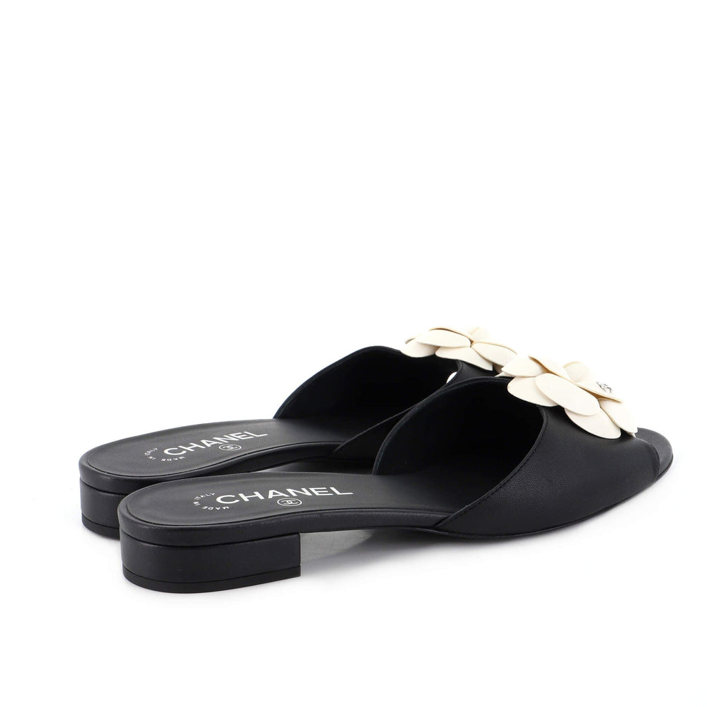 Women's Camellia Mule Sandals Leather