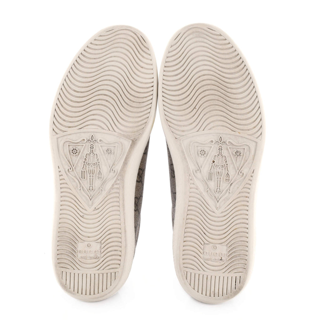 Fake/Not Ace Sneakers GG Coated Canvas