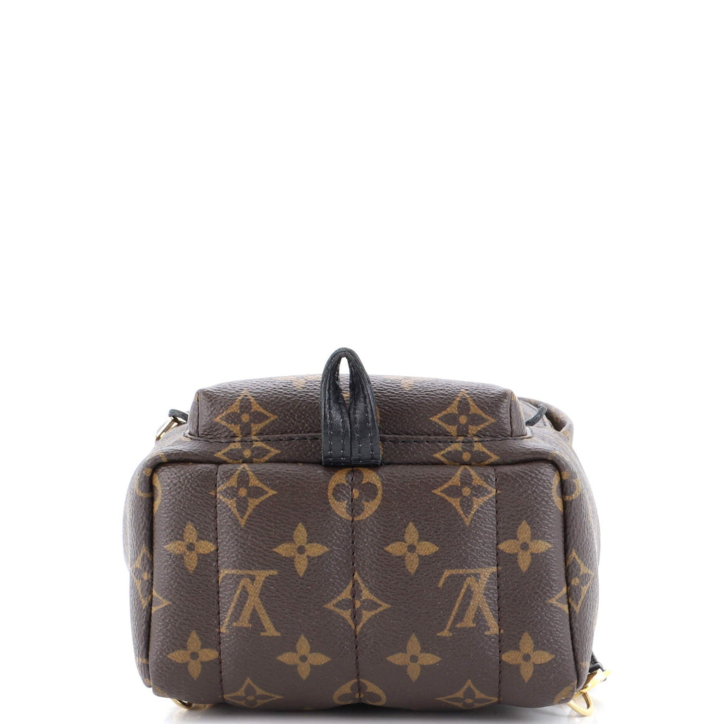Palm Springs Backpack Monogram Canvas Mini