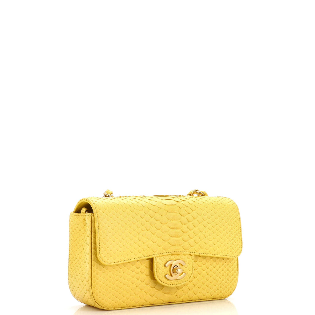Classic Single Flap Bag Python Mini