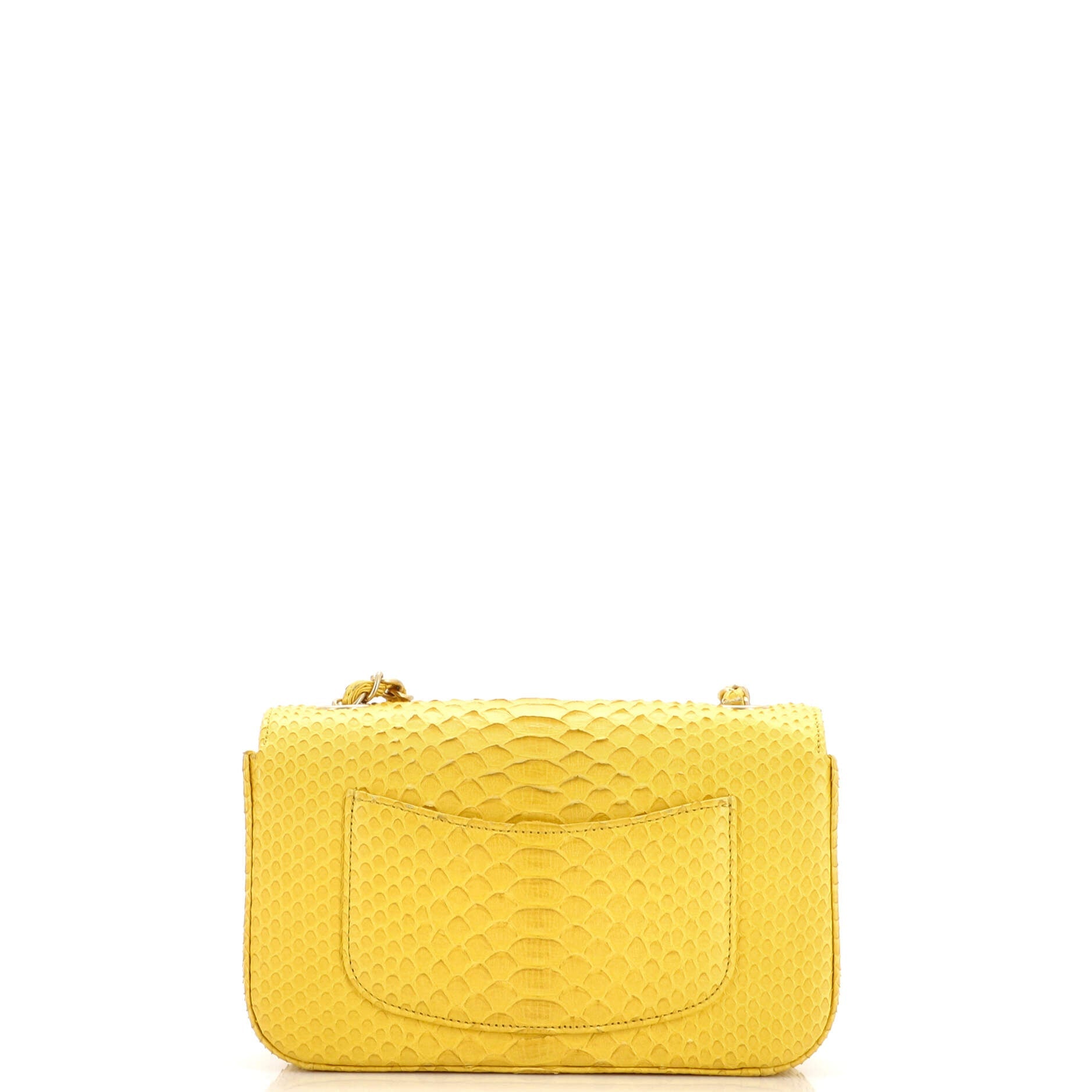 Classic Single Flap Bag Python Mini