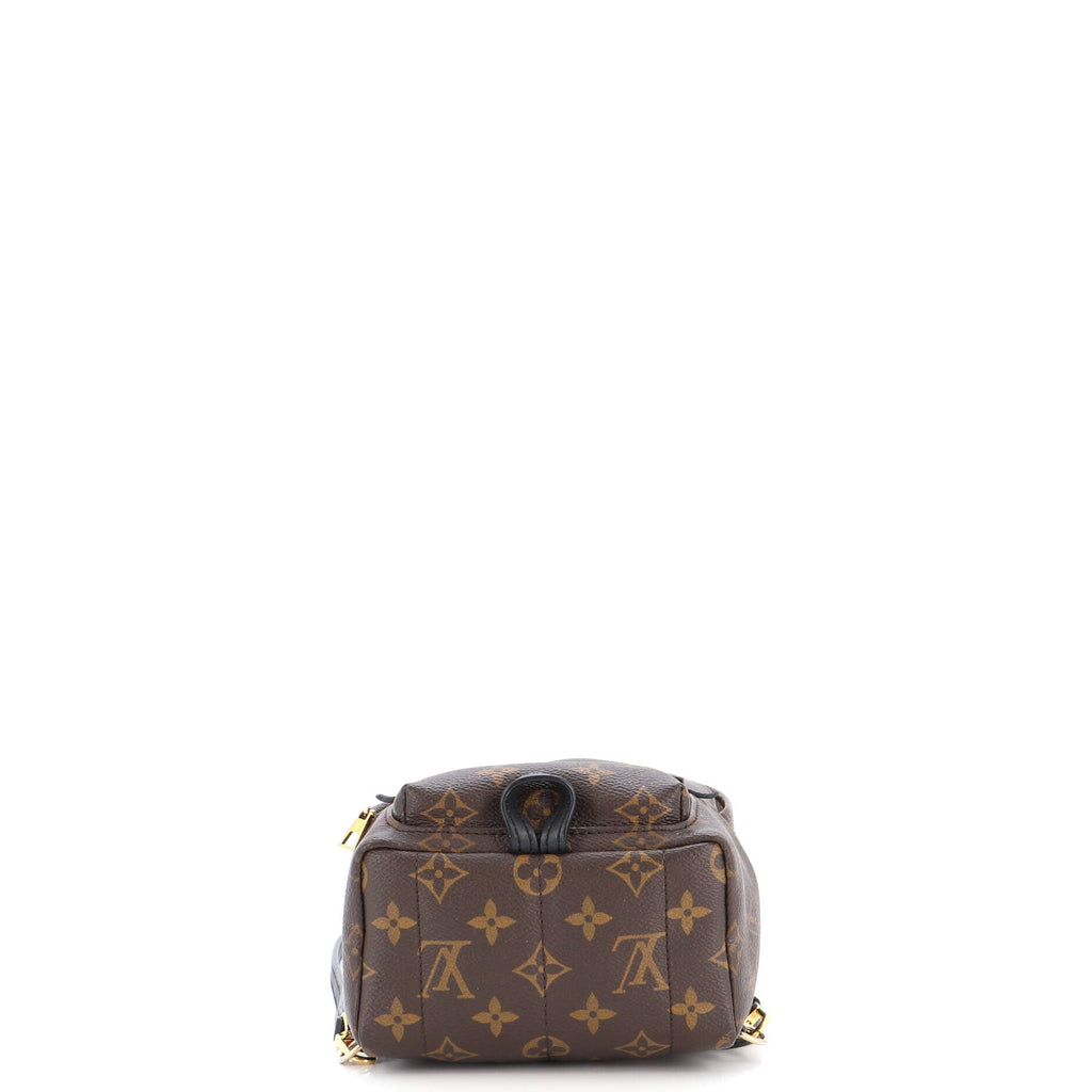 Palm Springs Backpack Monogram Canvas Mini