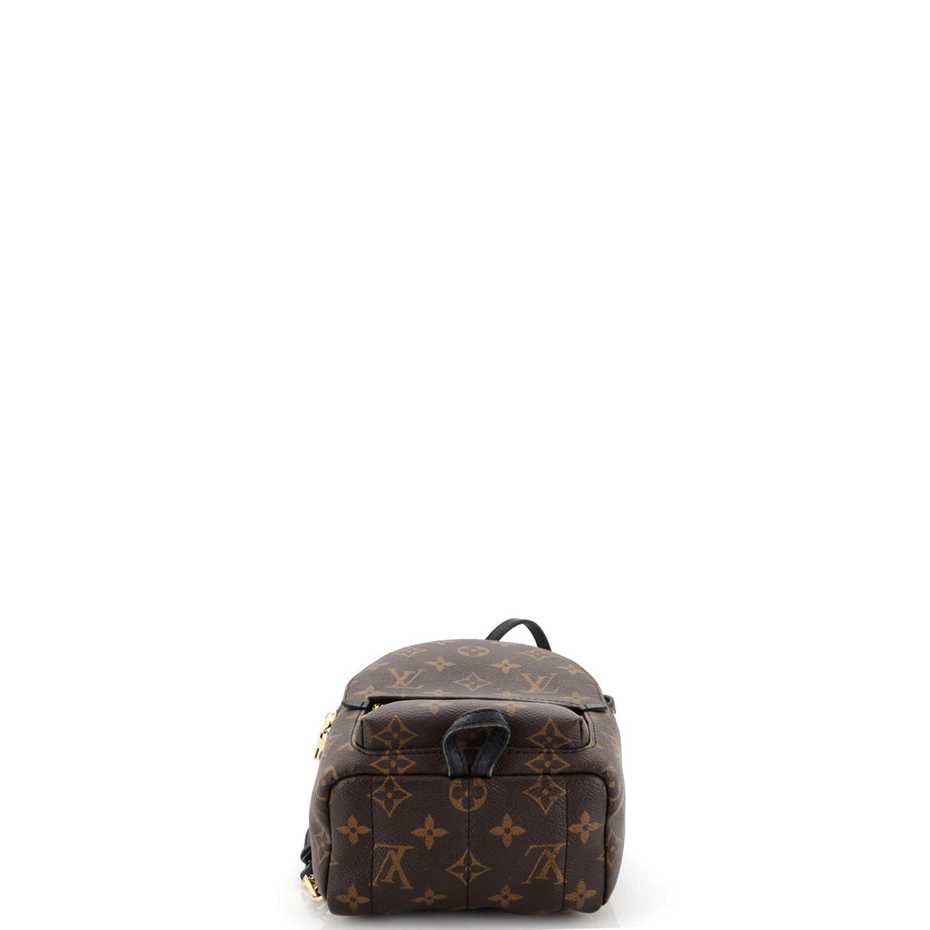 Palm Springs Backpack Monogram Canvas Mini
