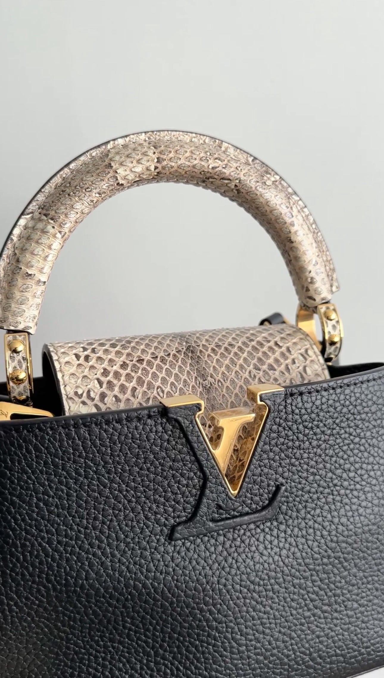 Louis Vuitton Capucines Mini Python and Black Leather Bag