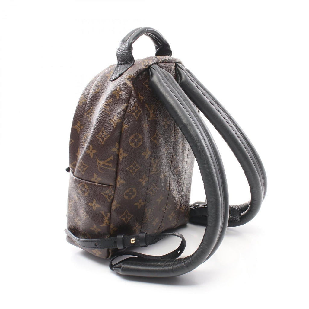 Louis Vuitton Palm Springs Monogram Backpack