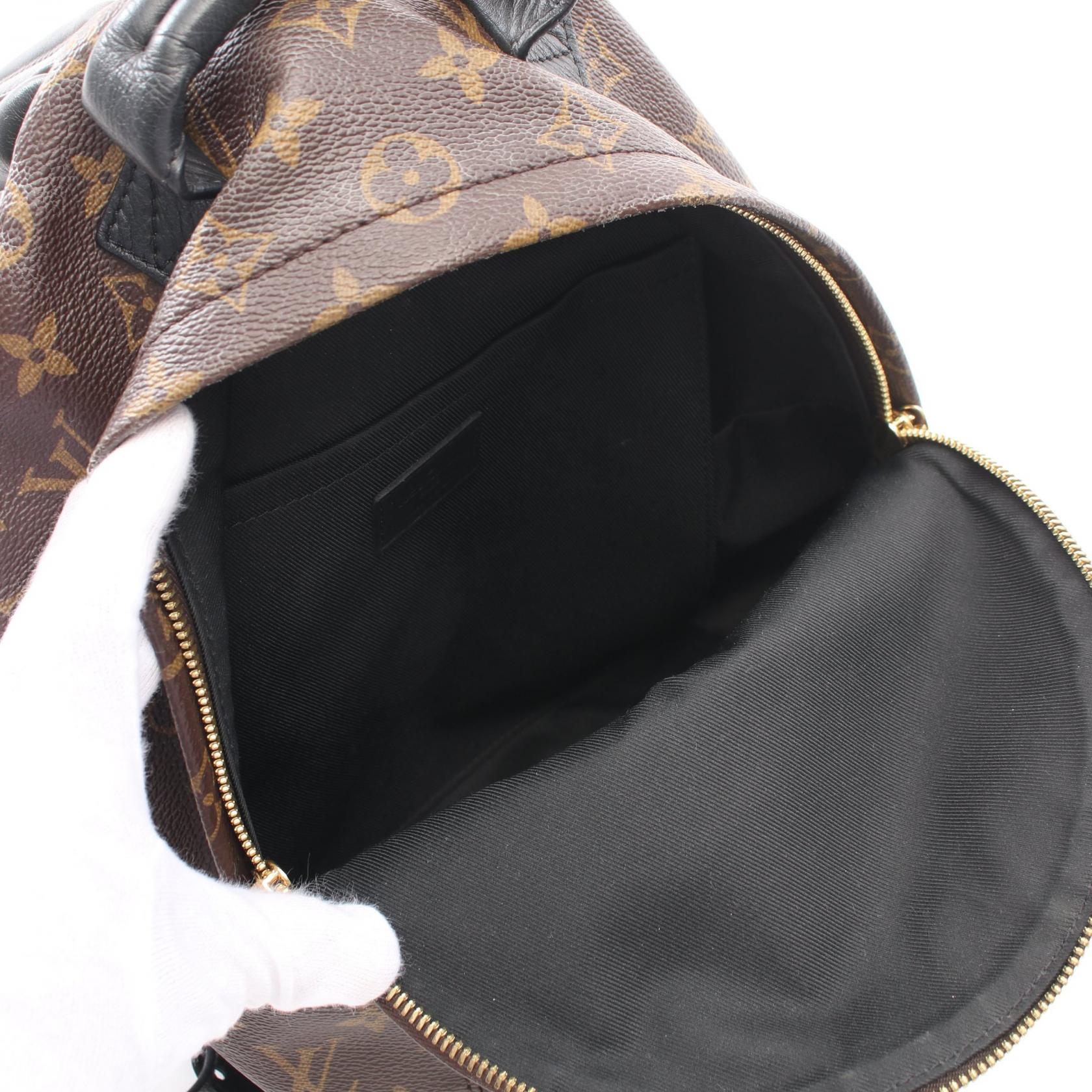 Louis Vuitton Palm Springs Monogram Backpack