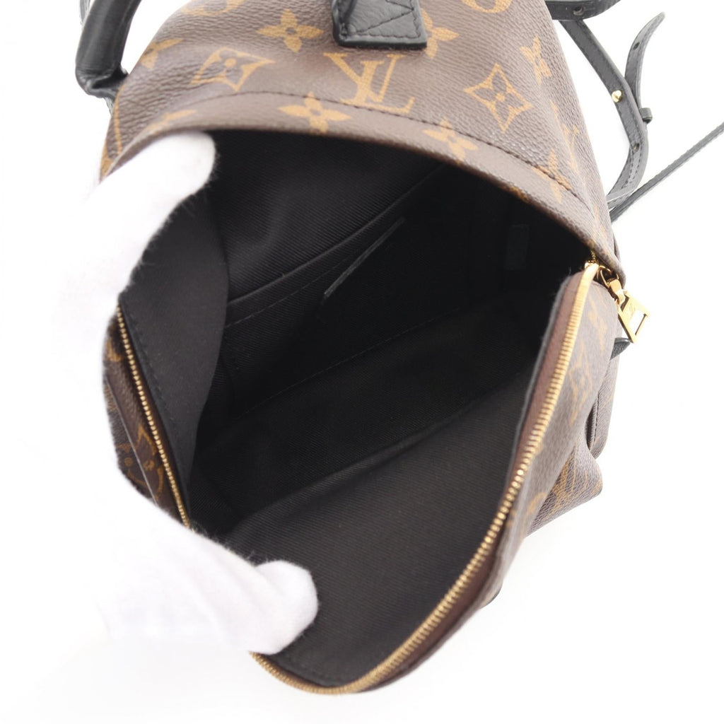 Louis Vuitton Palm Springs Mini Monogram Coated Canvas Backpack