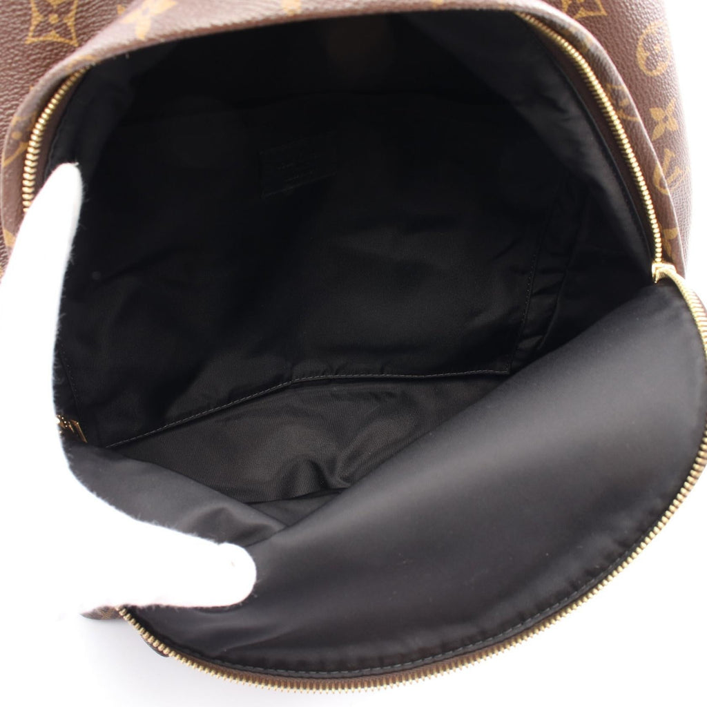 Louis Vuitton Palm Springs Backpack Monogram Backpack