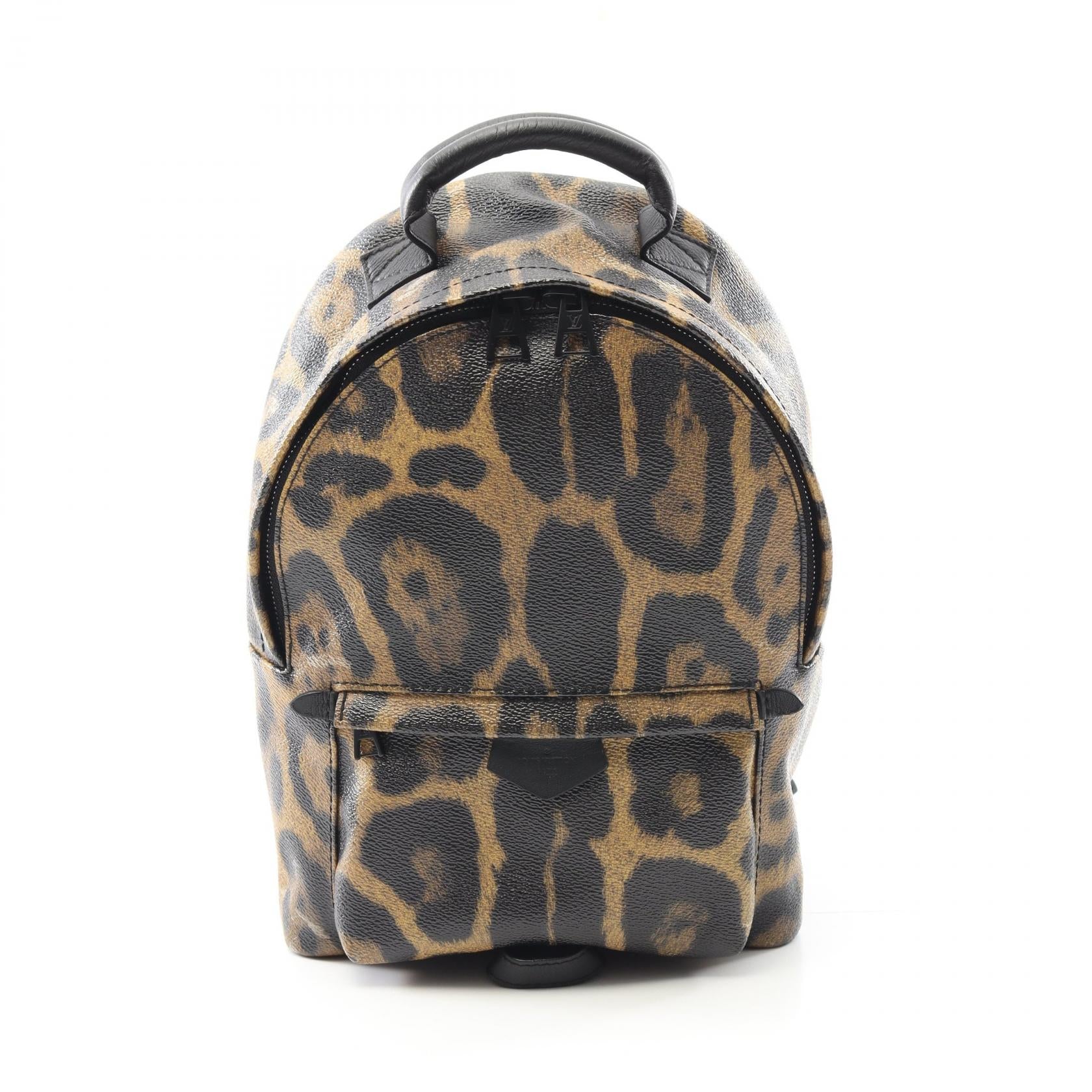 Louis Vuitton Palm Springs PM Monogram Coated Canvas Backpack