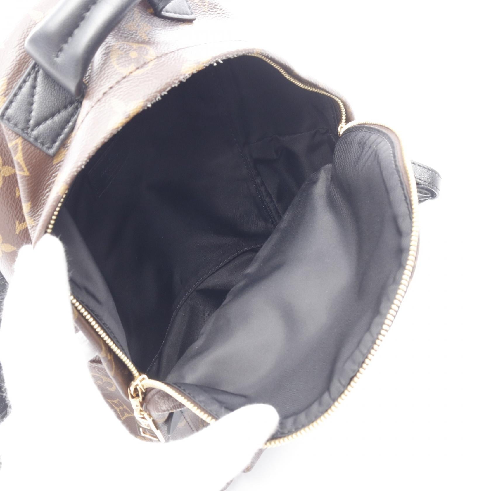 Louis Vuitton Palm Springs Backpack Monogram Backpack