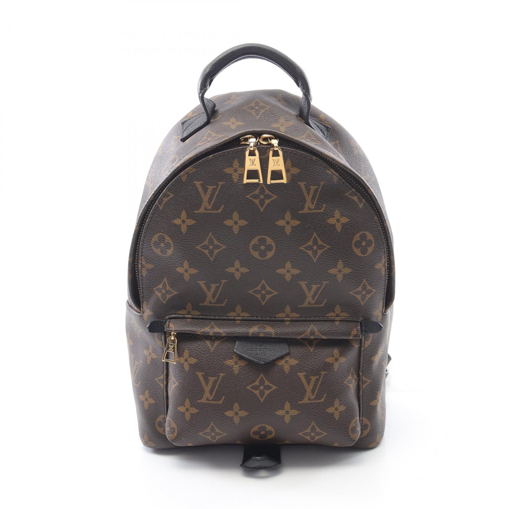 Louis Vuitton Palm Springs PM Monogram Coated Canvas Backpack