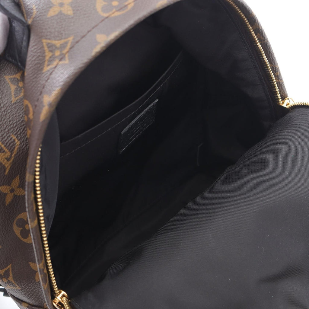 Louis Vuitton Palm Springs PM Monogram Coated Canvas Backpack