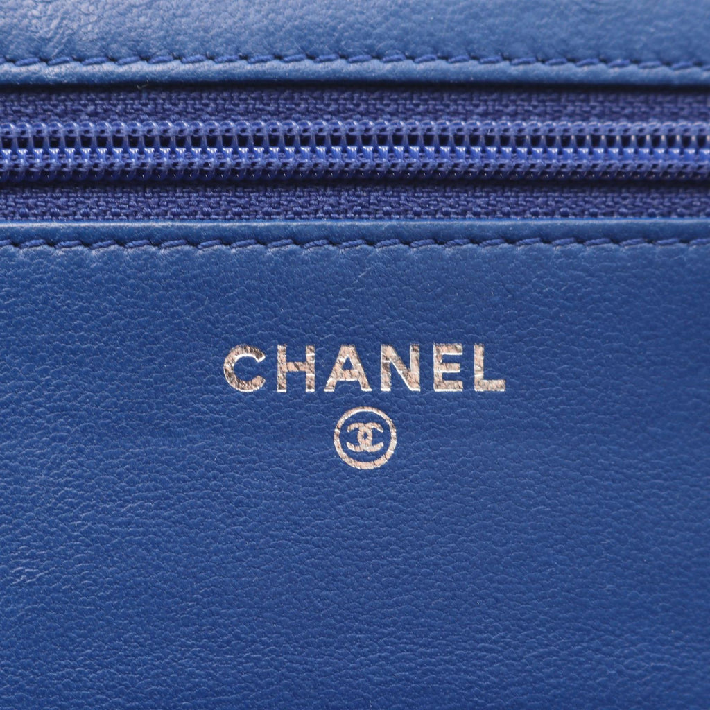 Chanel Boy Chanel Exotic Leather Shoulder Bag