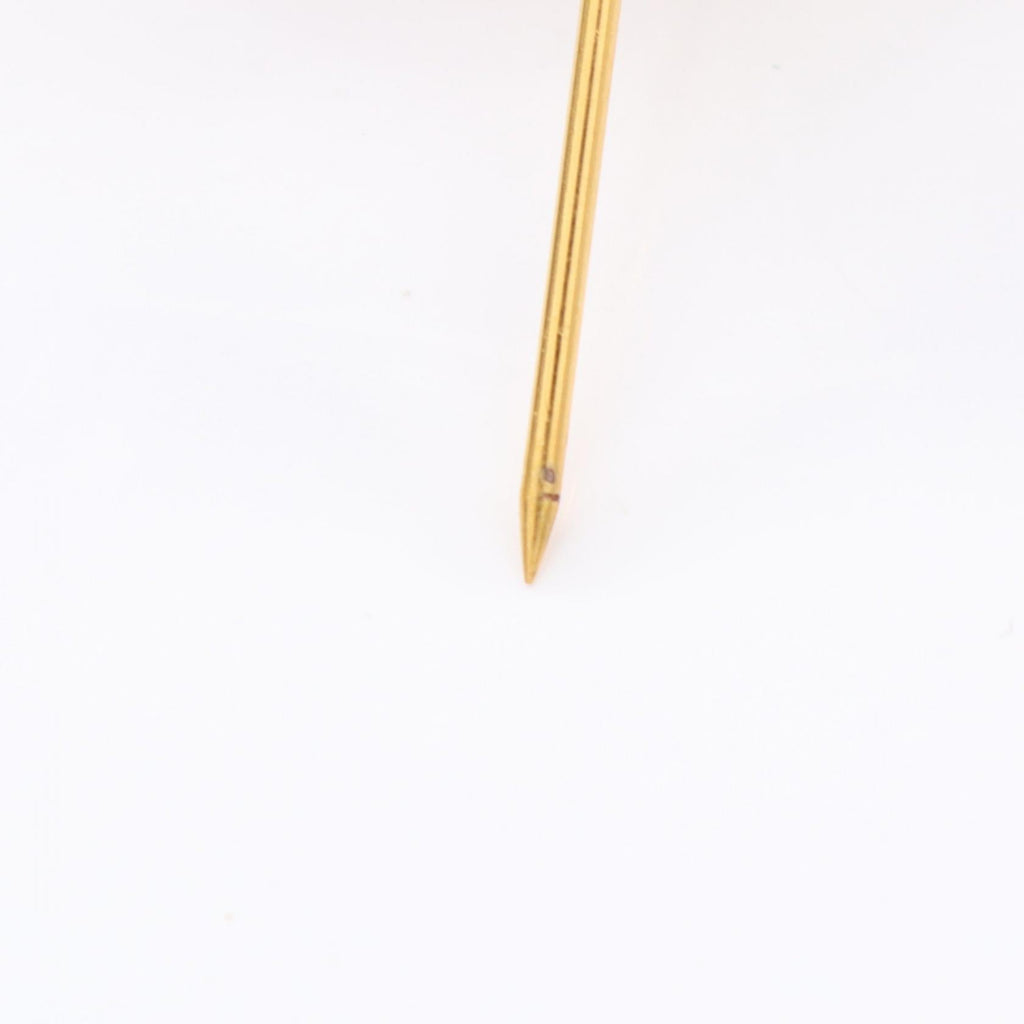 Chanel Coco Mark Brooch Accessory
