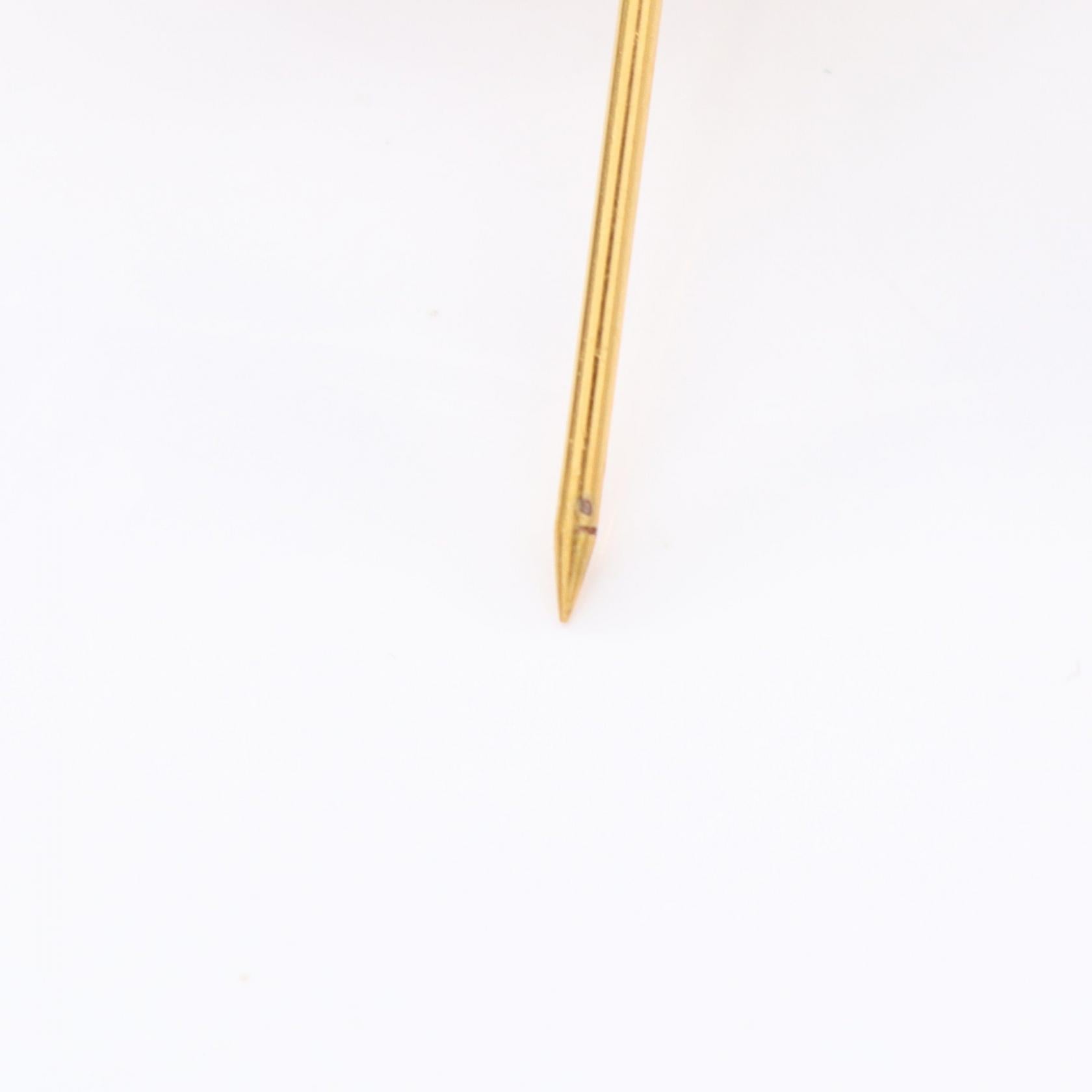 Chanel Coco Mark Brooch Accessory