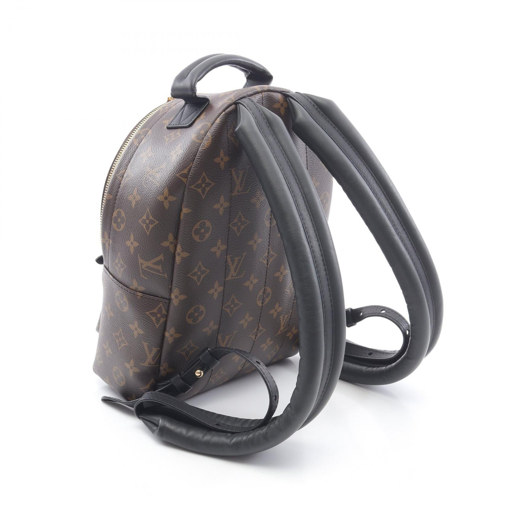 Louis Vuitton Palm Springs Monogram Coated Canvas Backpack
