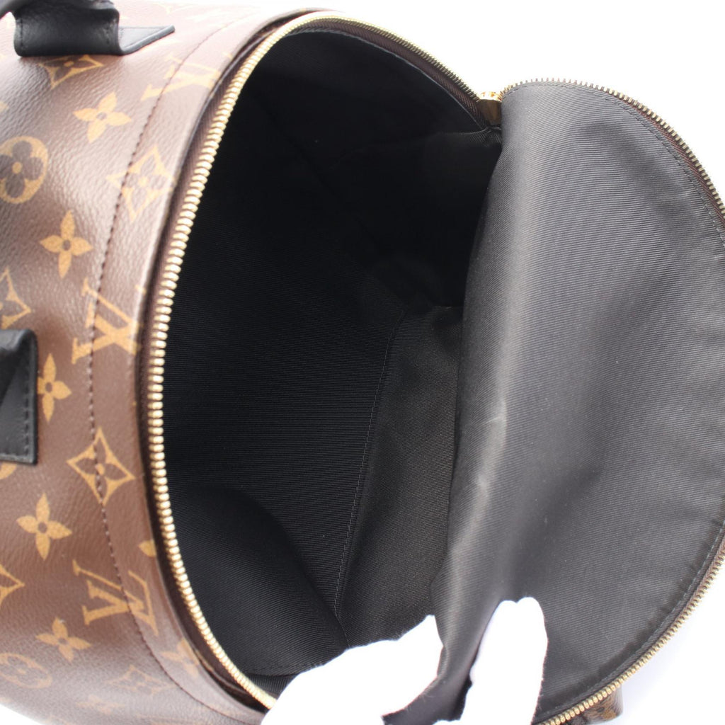 Louis Vuitton Palm Springs Backpack Monogram Backpack