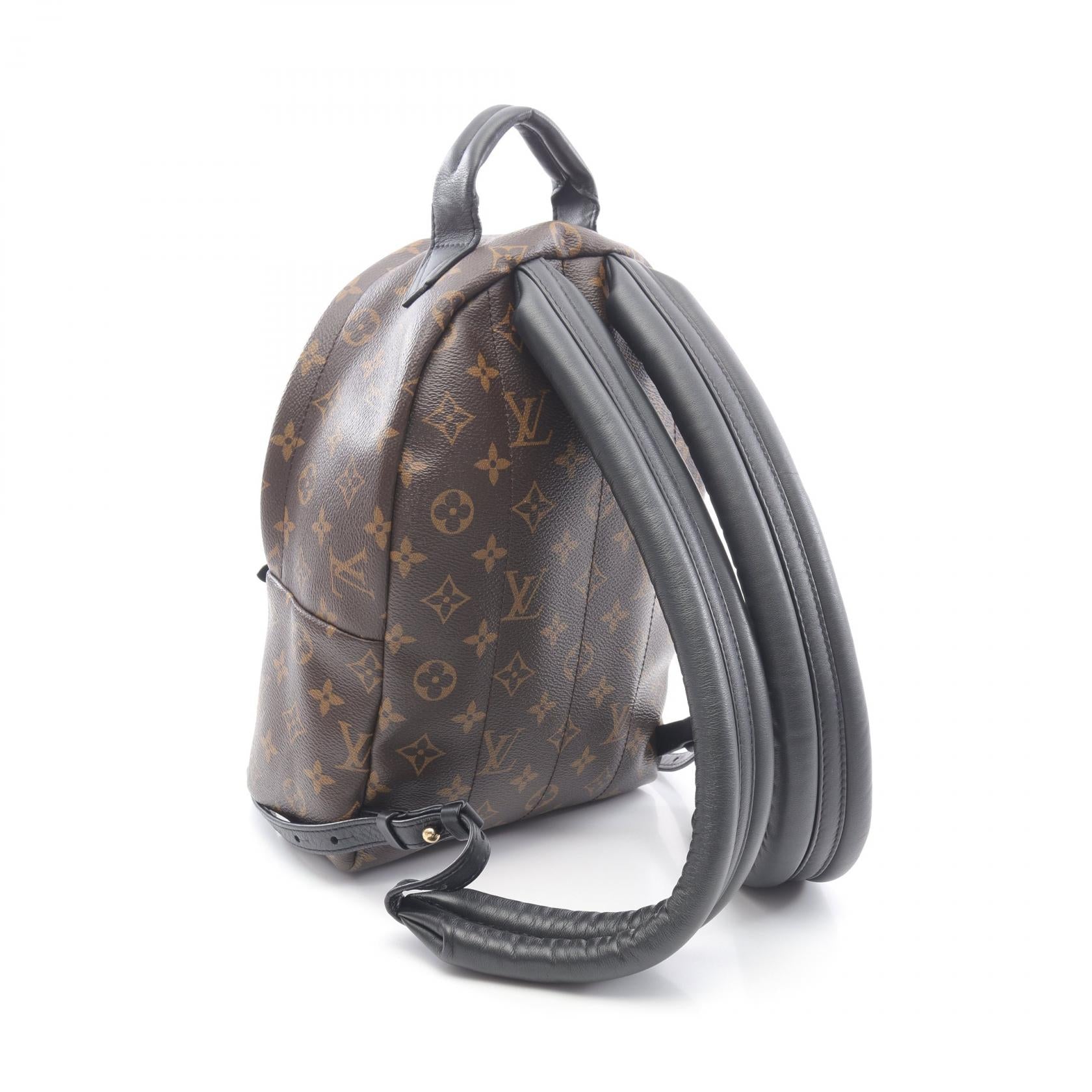 Louis Vuitton Palm Springs PM Monogram Coated Canvas Backpack