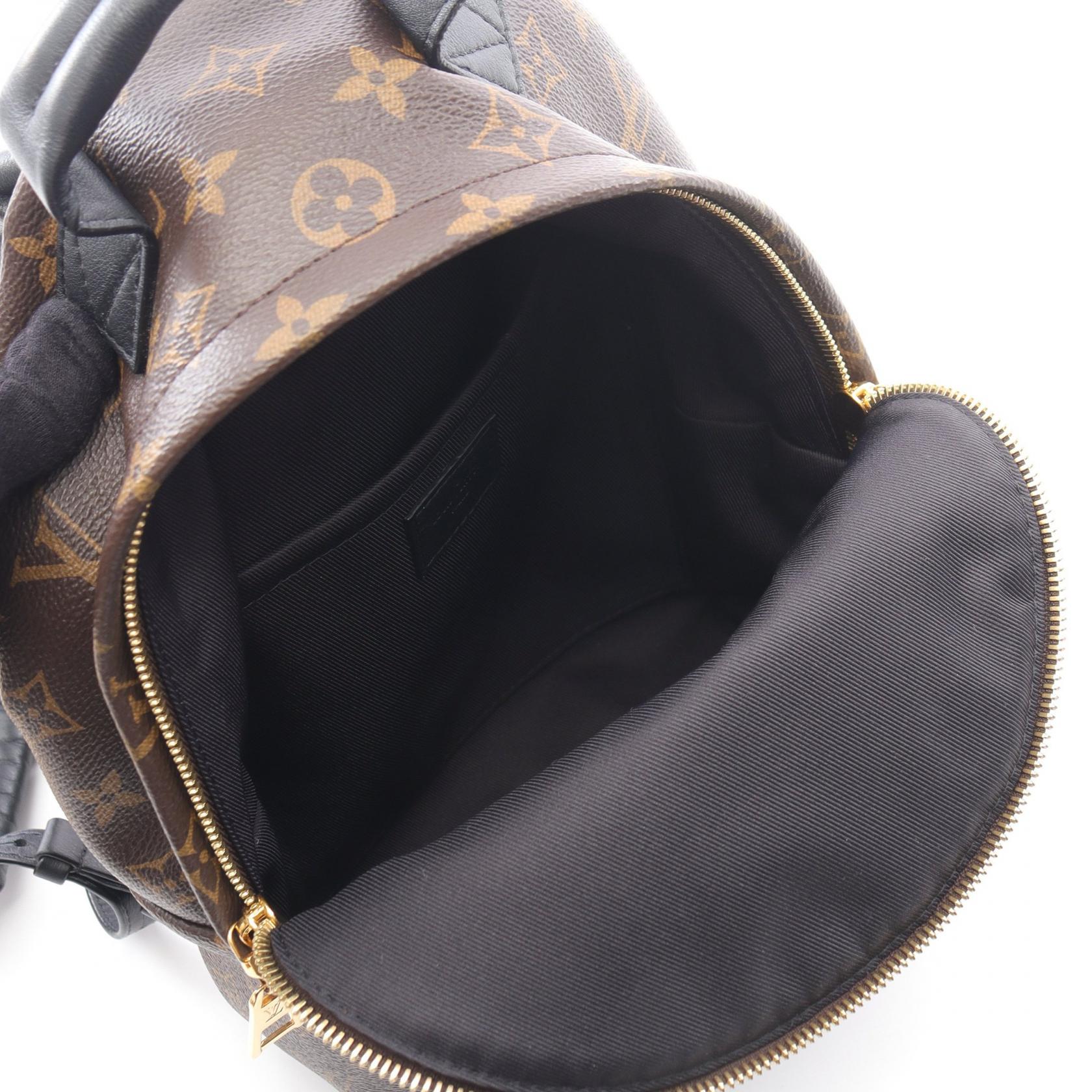 Louis Vuitton Palm Springs PM Monogram Coated Canvas Backpack