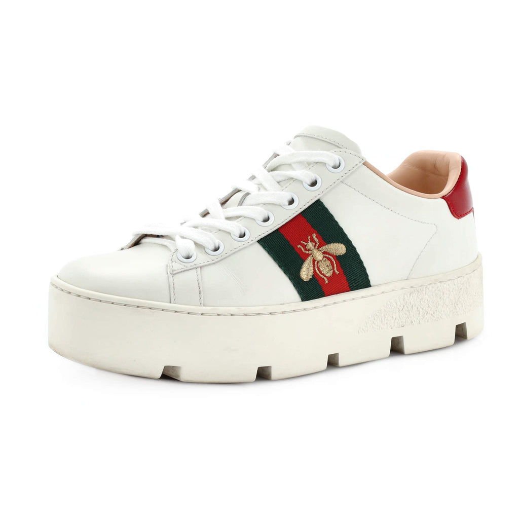 Women's Ace Web Platform Sneakers Leather