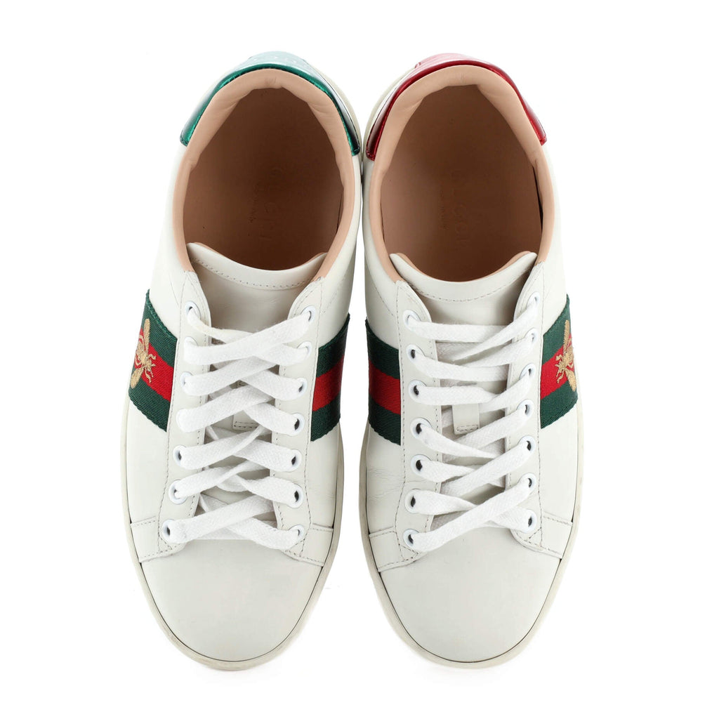 Women's Ace Web Platform Sneakers Leather