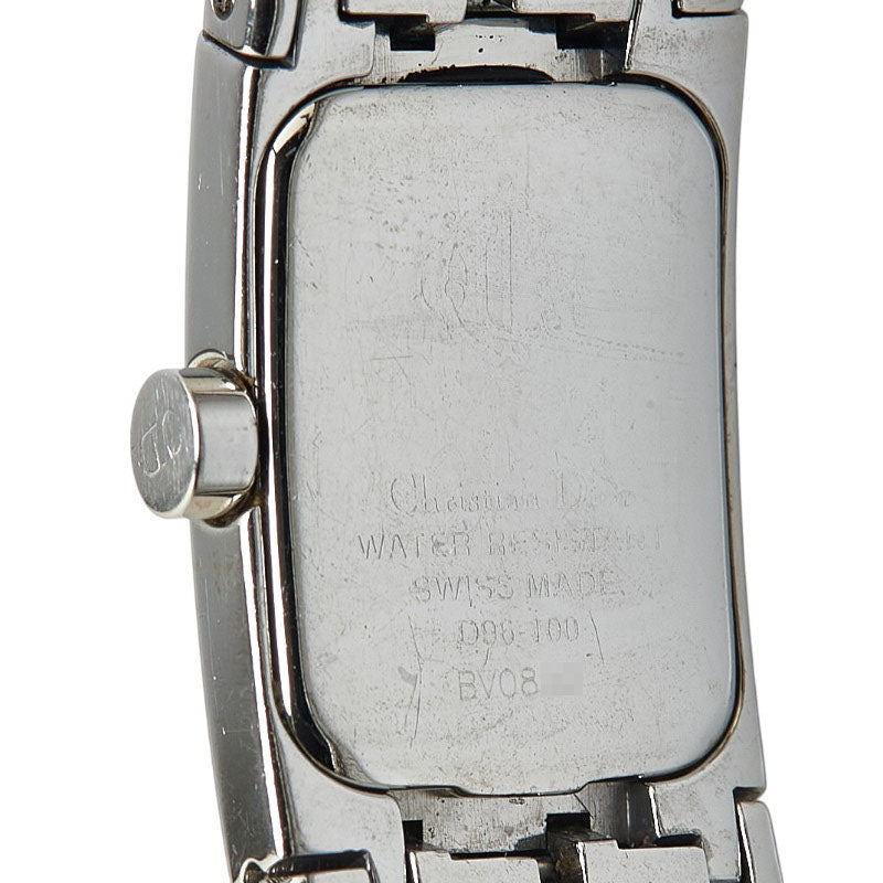 Dior Diofilic Stainless Steel