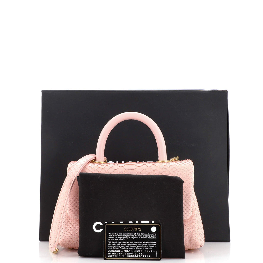 Coco Top Handle Bag Python Mini