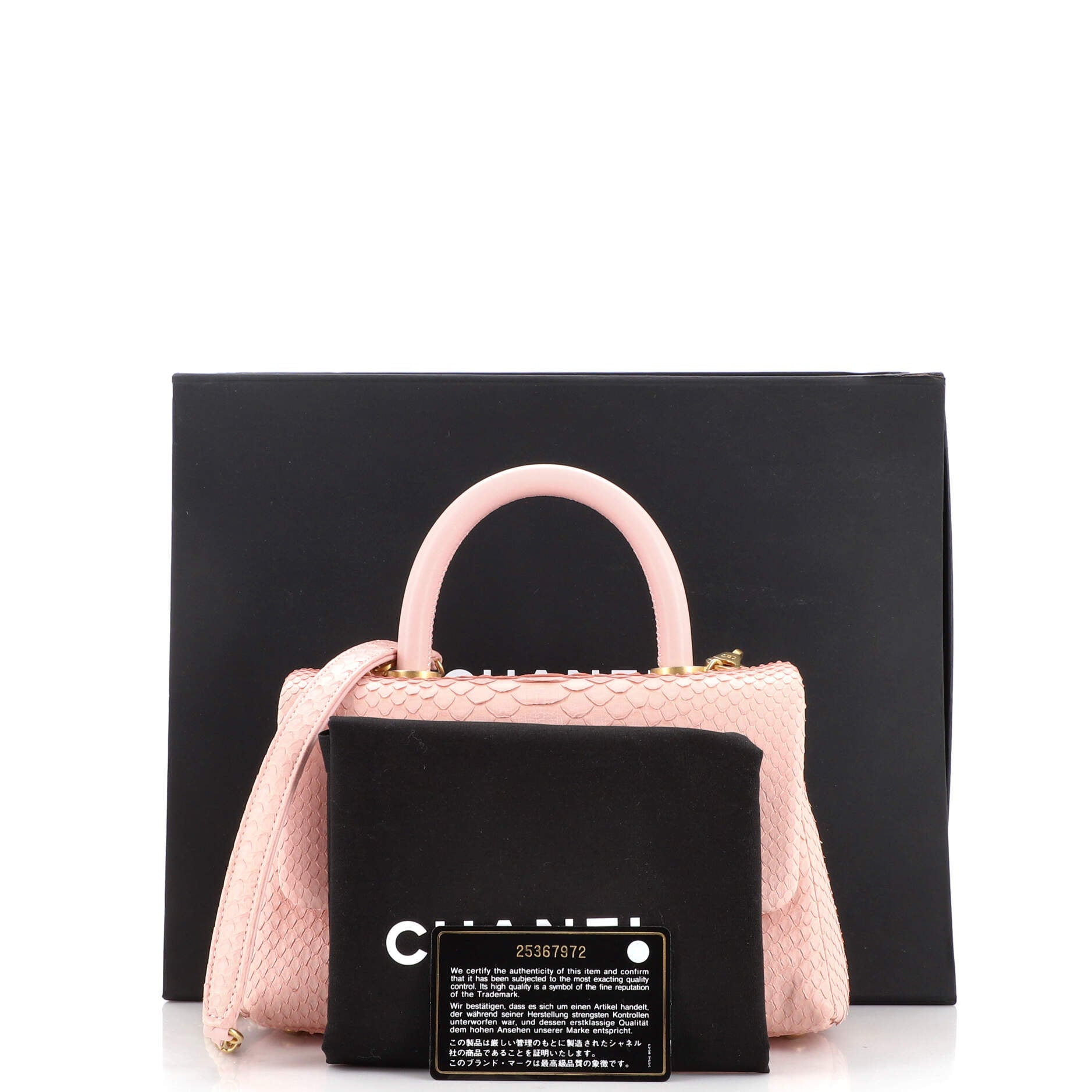 Coco Top Handle Bag Python Mini