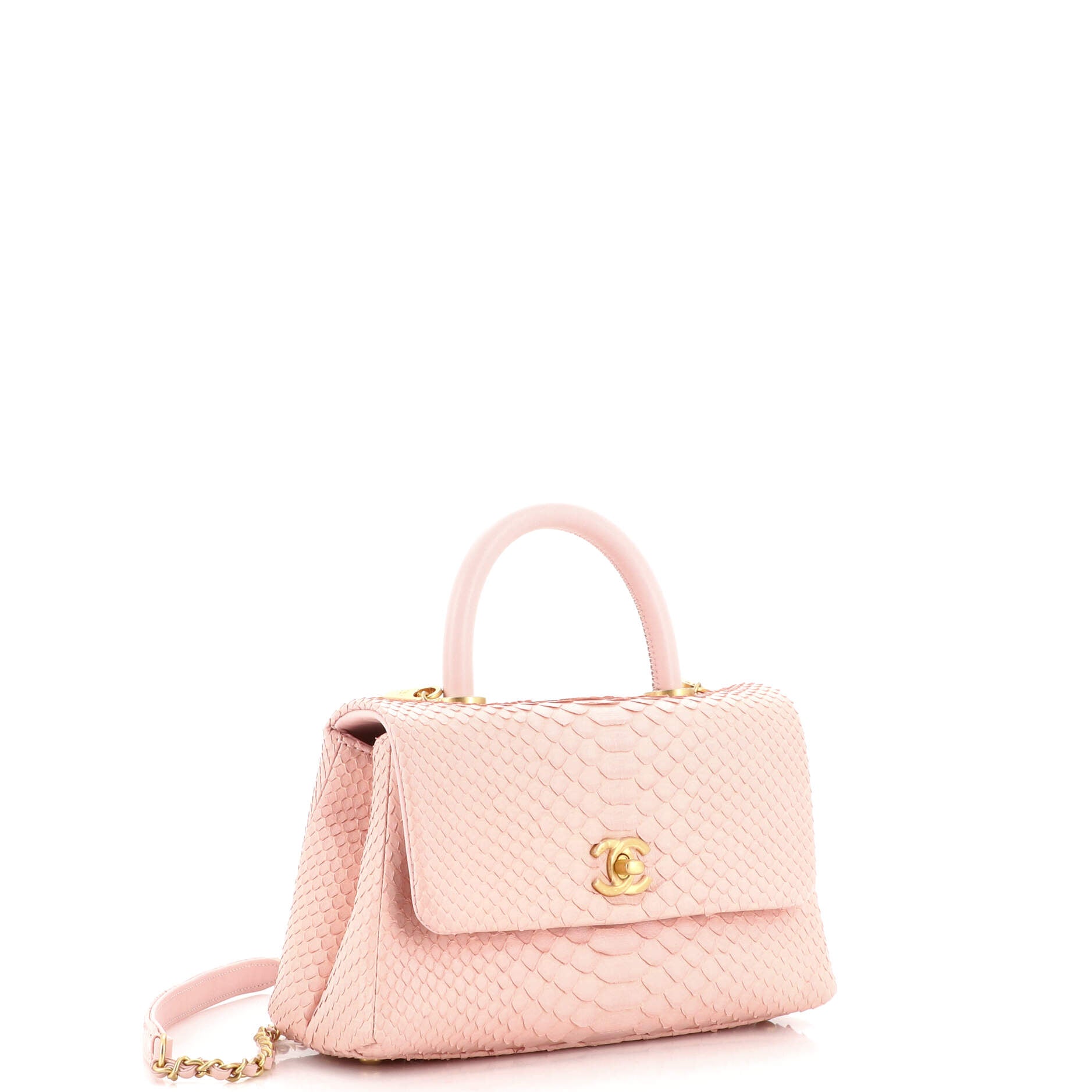 Coco Top Handle Bag Python Mini