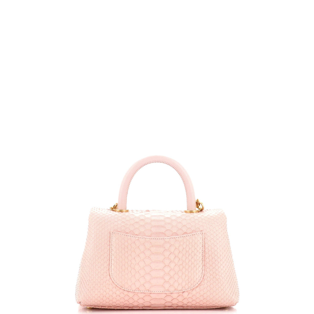 Coco Top Handle Bag Python Mini