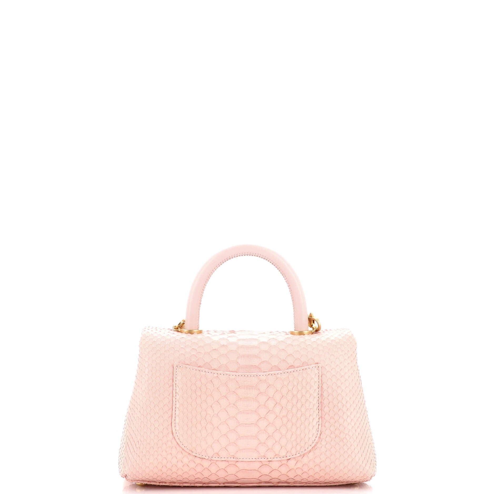 Coco Top Handle Bag Python Mini