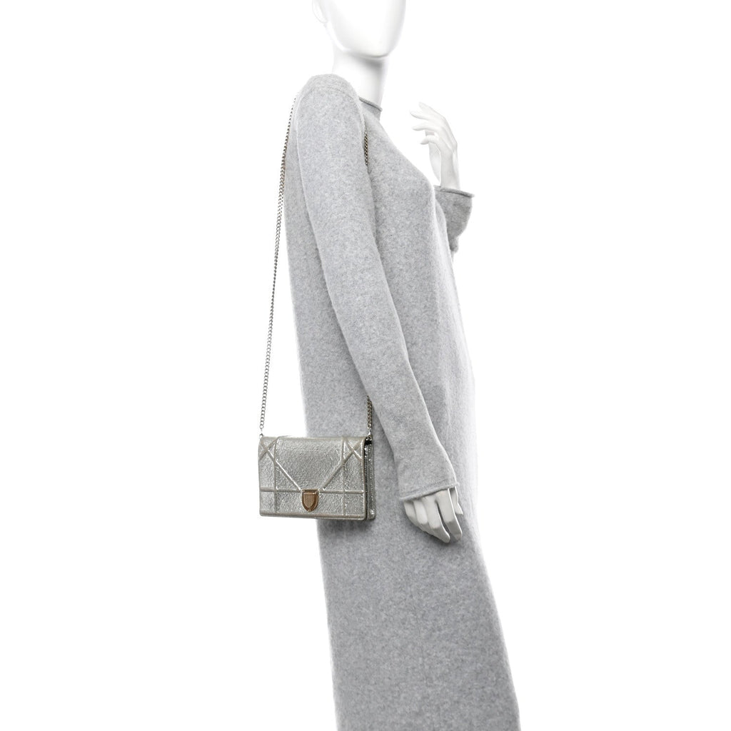 Metallic Ceramic Effect Deerskin Diorama Wallet on Chain Pouch Silver