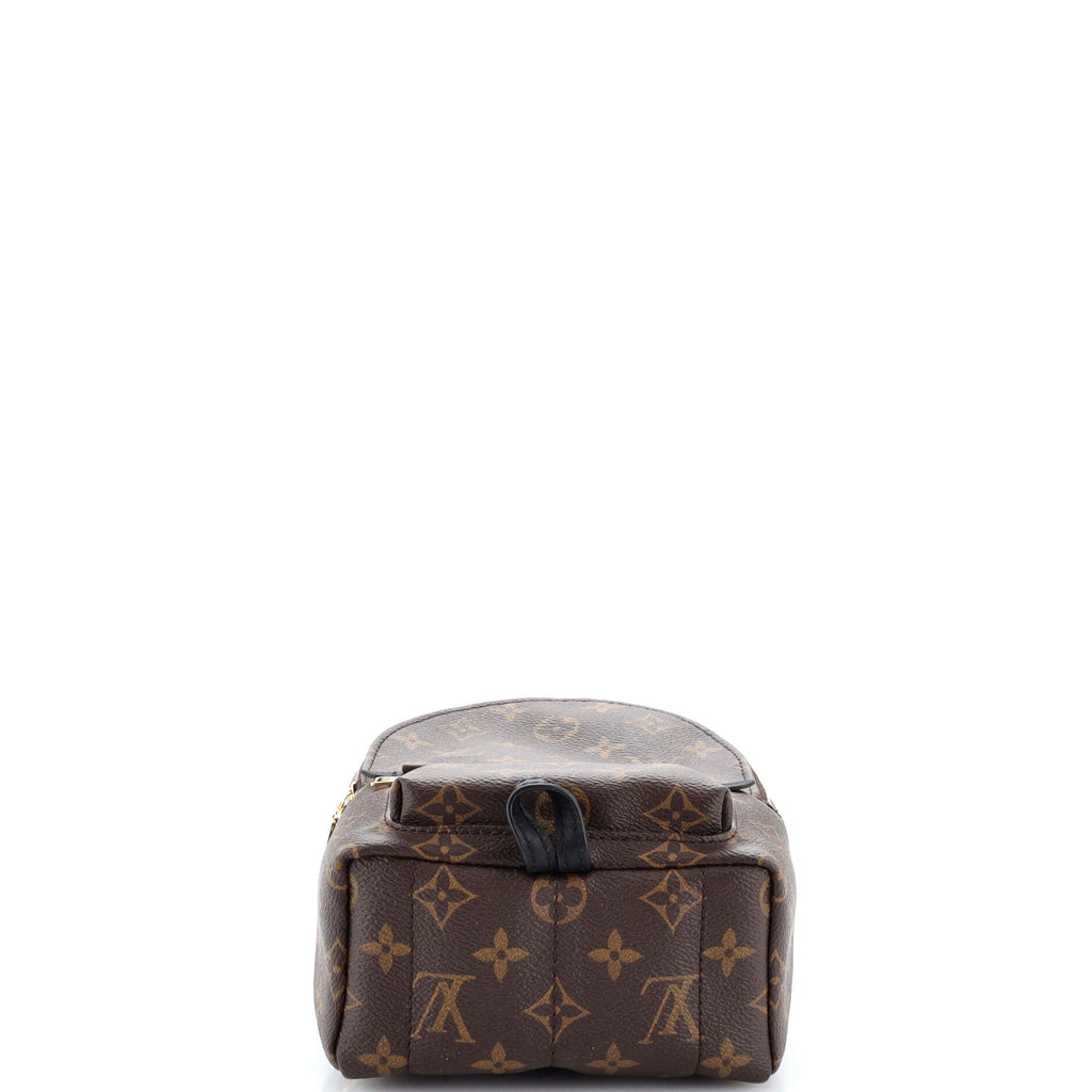 Palm Springs Backpack Monogram Canvas Mini