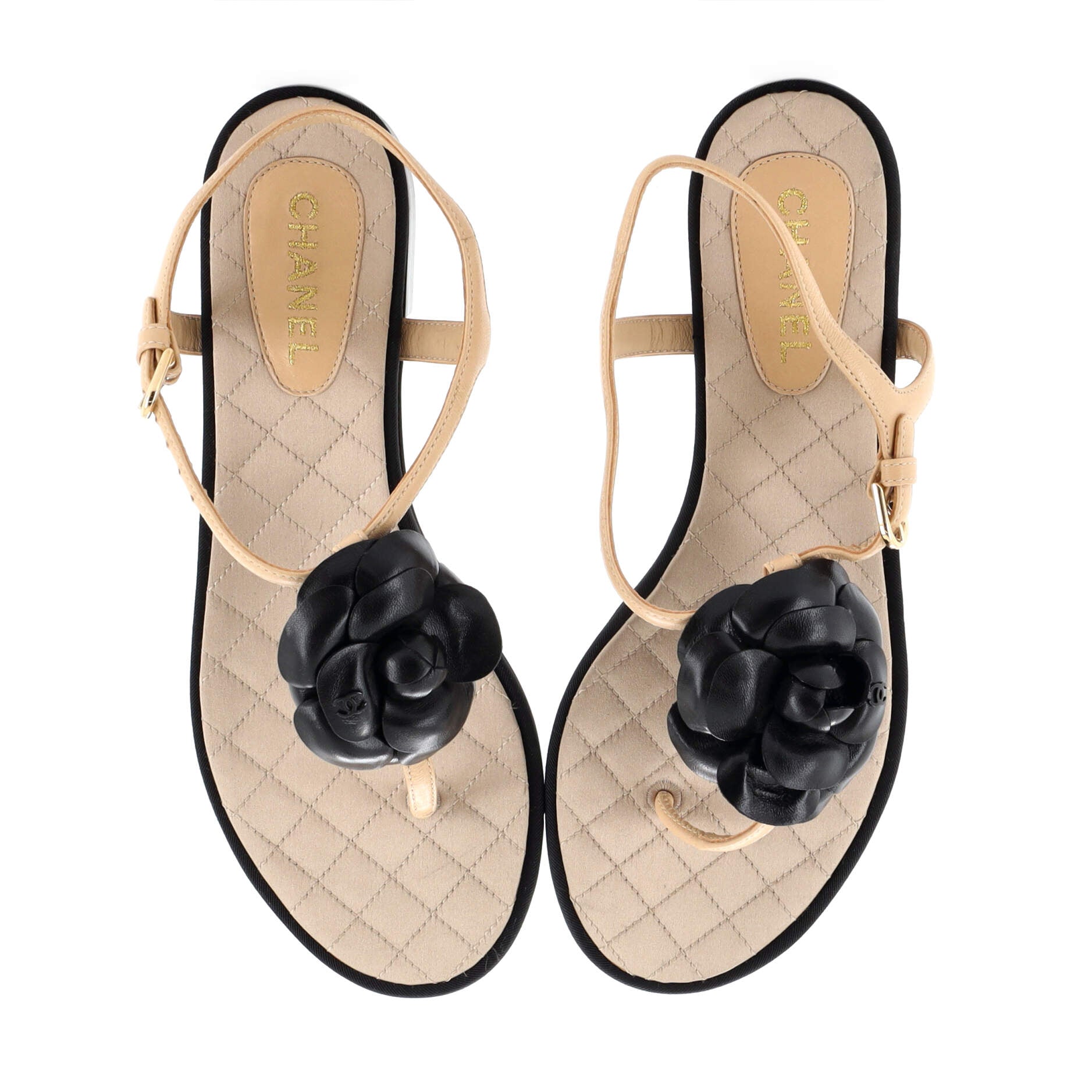 Women's Camellia T-Strap Sandals Leather