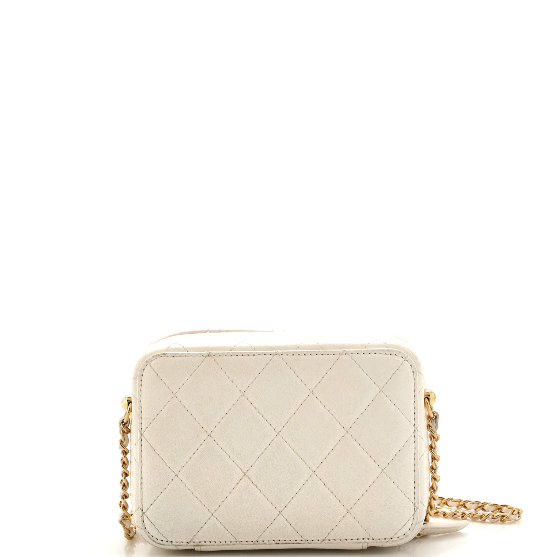 Golden Plate Zip Around Vanity Case with Chain Quilted Metal and Lambskin Mini