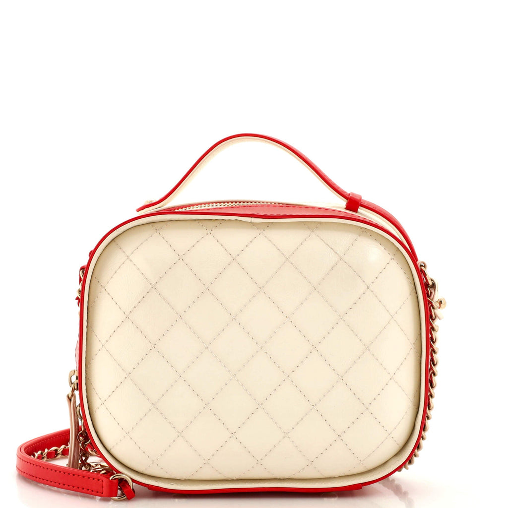 Vanity Case Bag Quilted Crumpled Calfskin Small