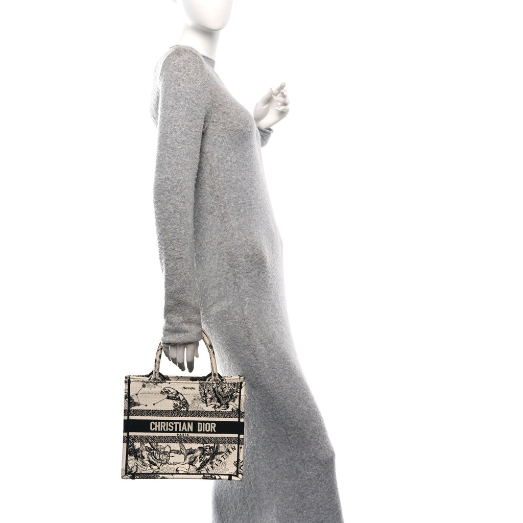 Canvas Embroidered Small Zodiac Toile De Jouy Book Tote Latte
