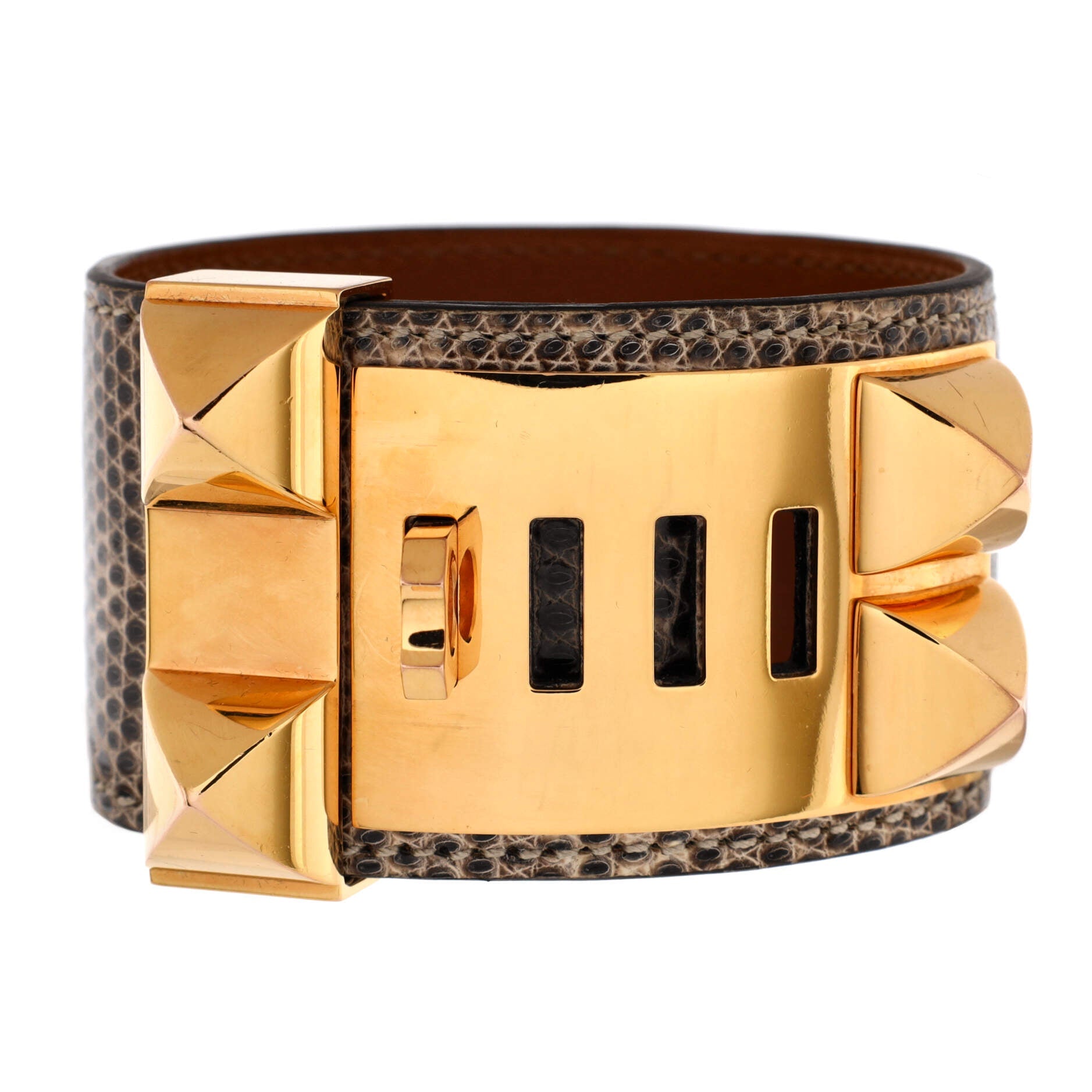 Collier de Chien Bracelet Alligator