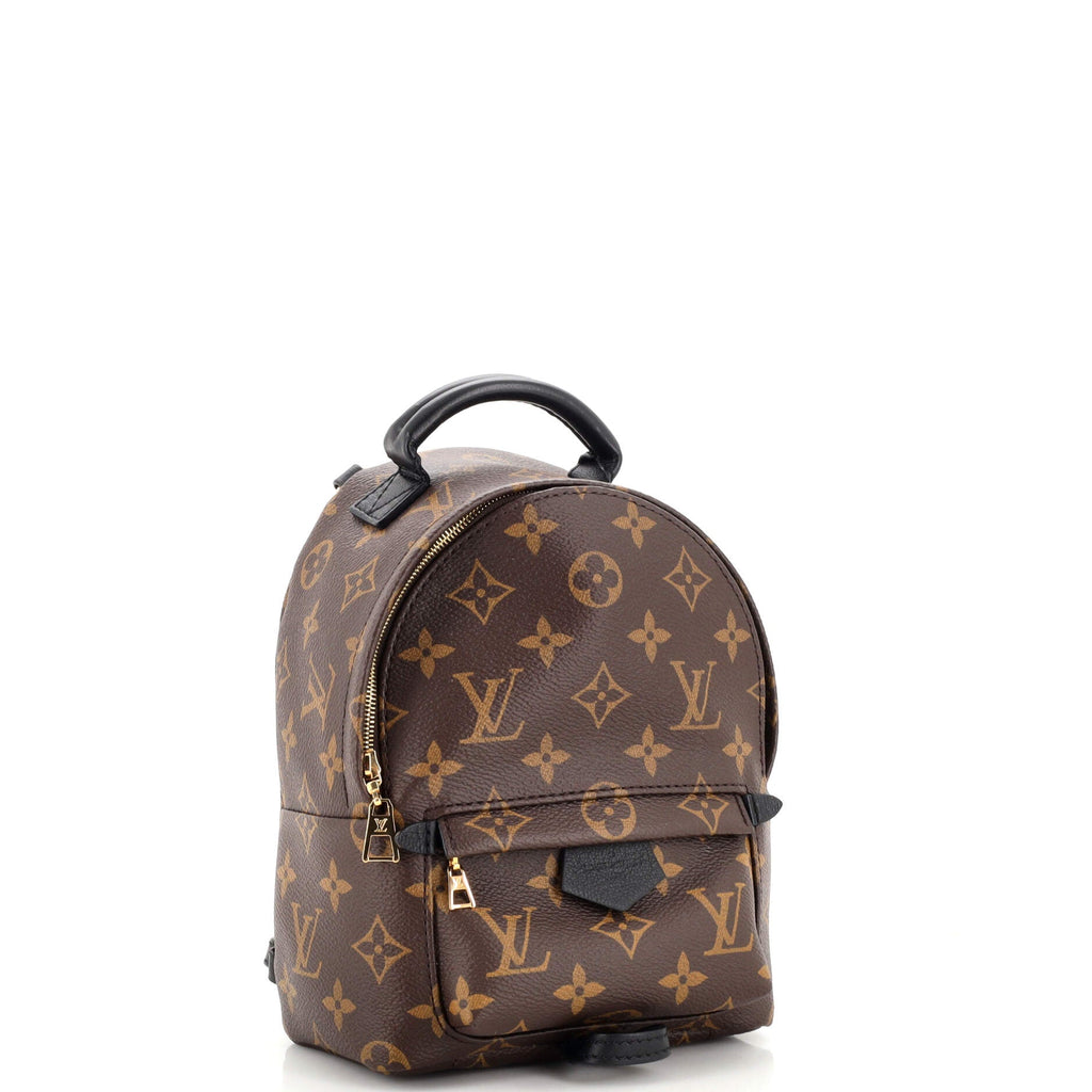 Palm Springs Backpack Monogram Canvas Mini