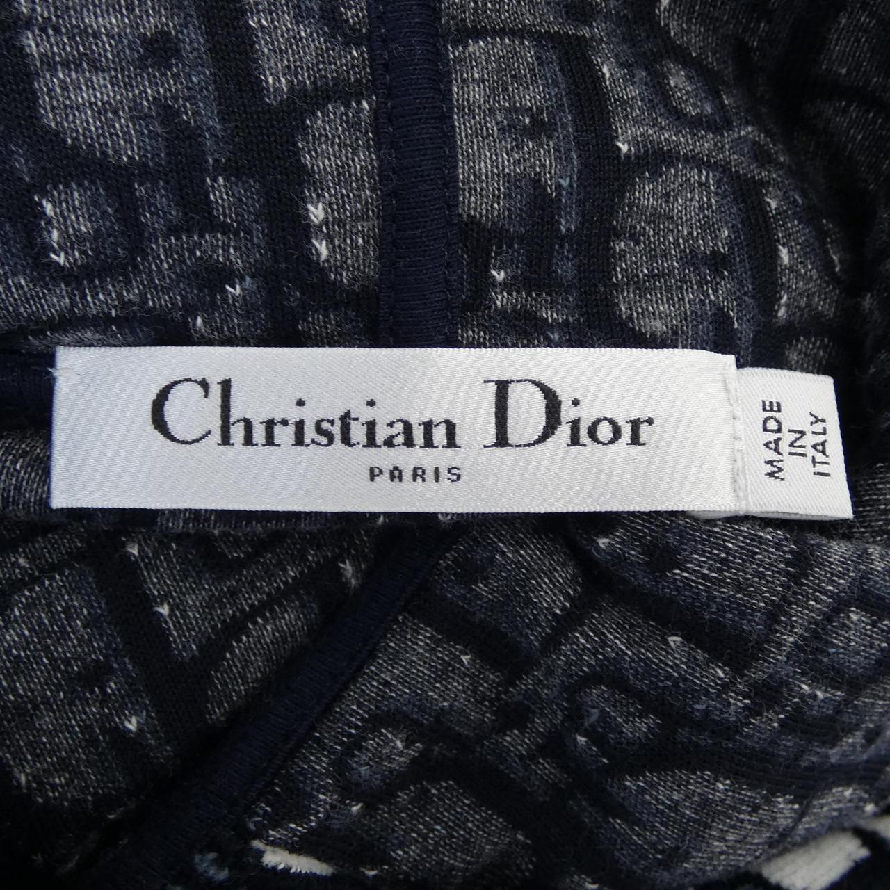 Christian Dior 113S06A4022 Hoodie