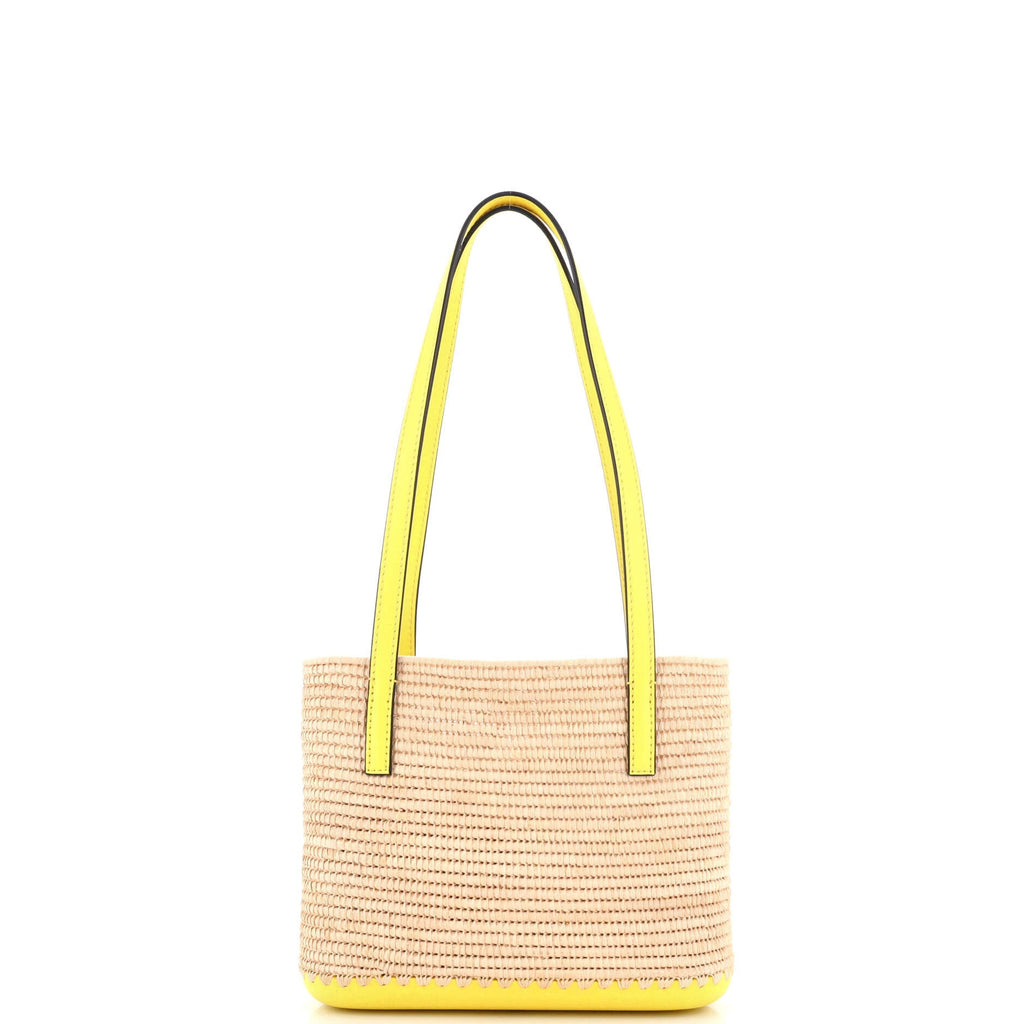 Square Basket Tote Woven Raffia and Leather Mini