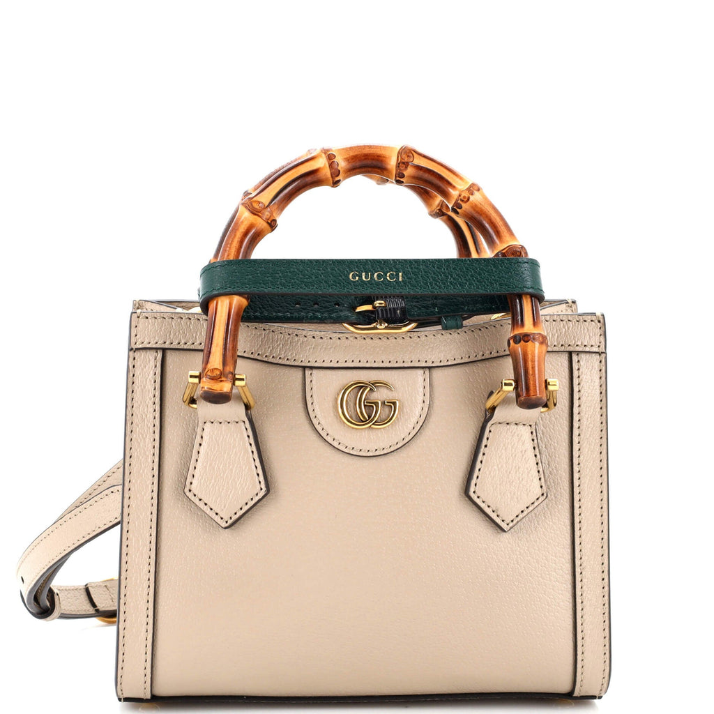Diana NM Bamboo Handle Tote Leather Mini