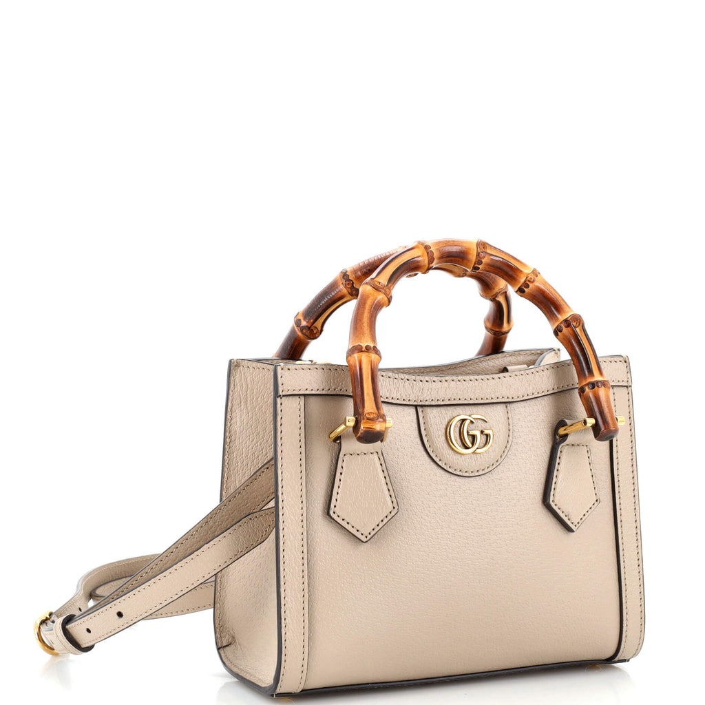 Diana NM Bamboo Handle Tote Leather Mini