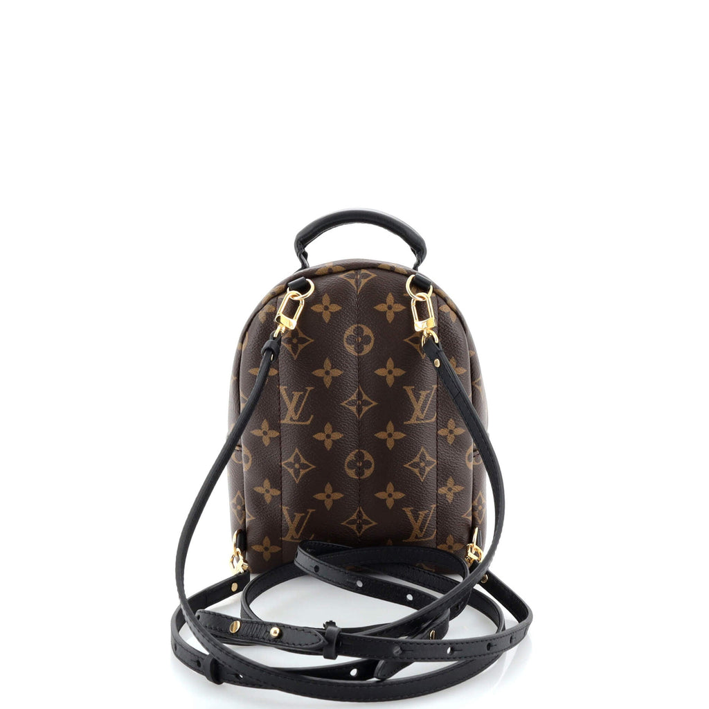 Palm Springs Backpack Monogram Canvas Mini
